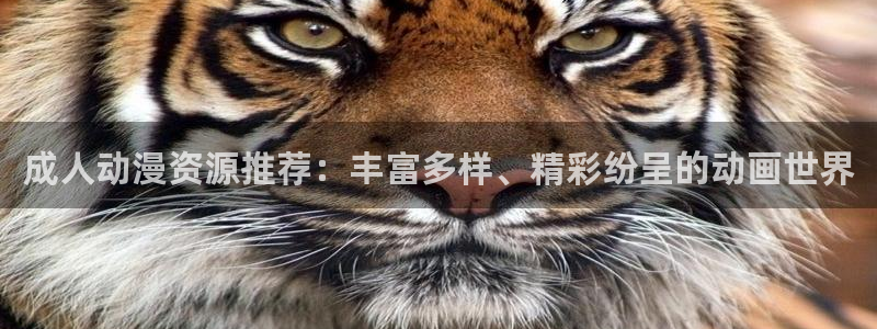 里番3d动漫在线观看