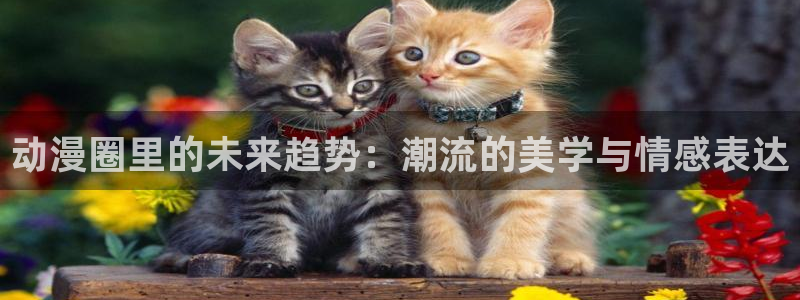 伪娘动漫里番