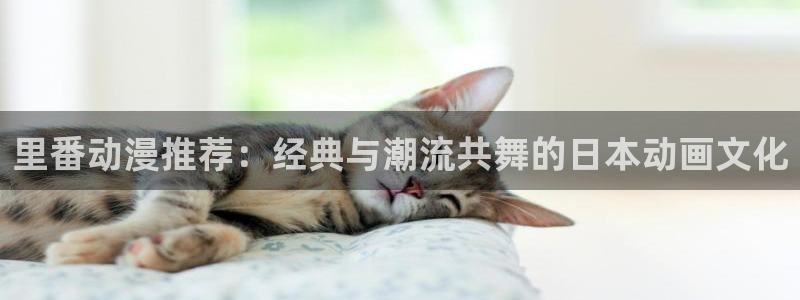 里番动漫电影网