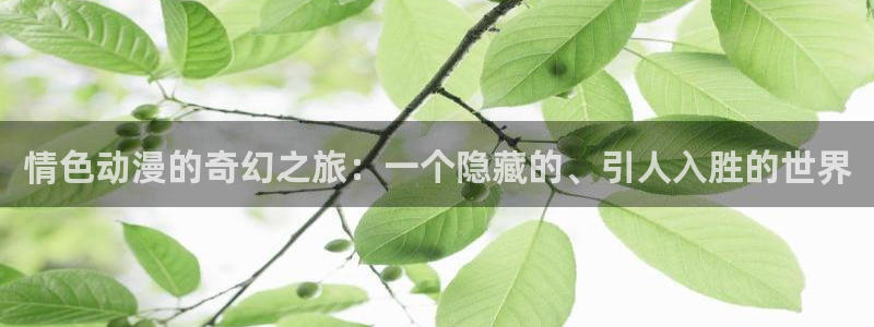 3d里番动漫在线看