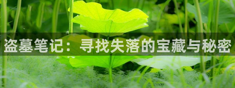 里番无翼鸟动漫