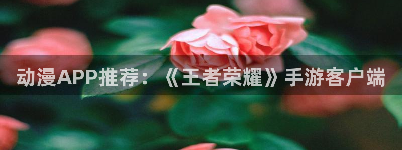 动漫里番有哪些