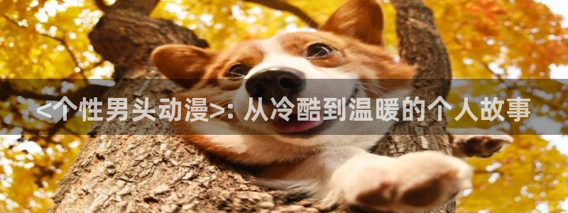里番动漫资源
