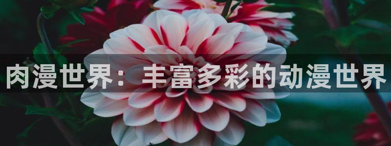 里番动漫观看在线