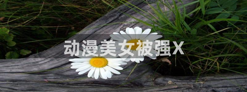 综漫里番小说