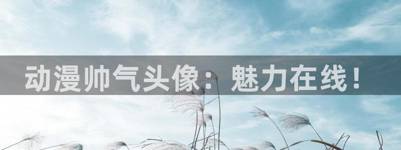 里番动漫推荐