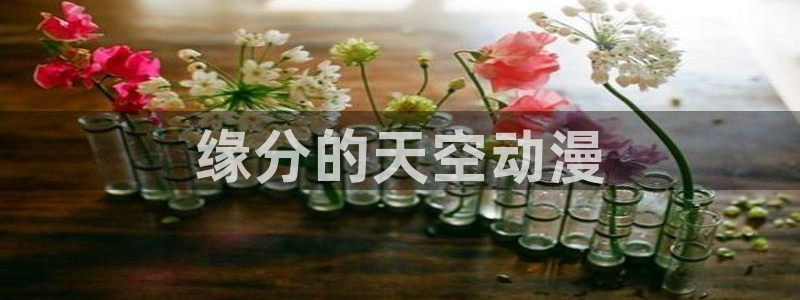 动漫里番本子库