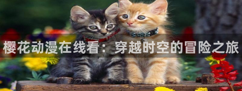 里番3d动漫
