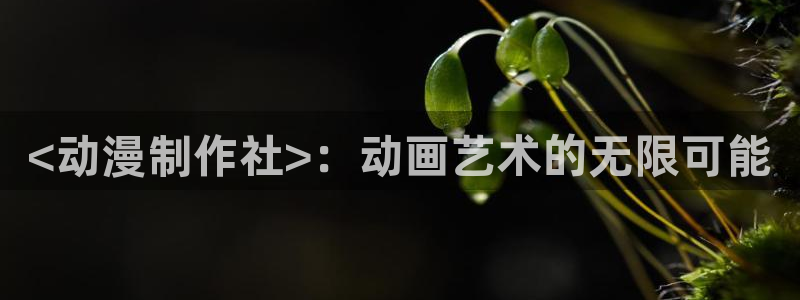 里番动漫影院