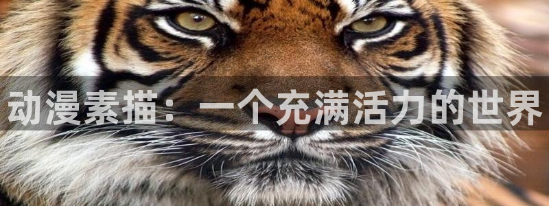 动漫在线里番