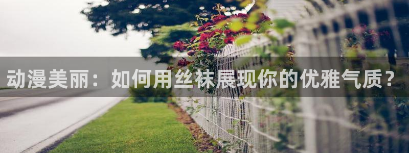 动漫里番图片：动漫美丽：如何用丝袜展现你的优雅气质？