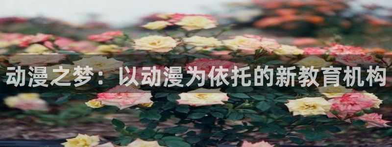 里番动漫第一页