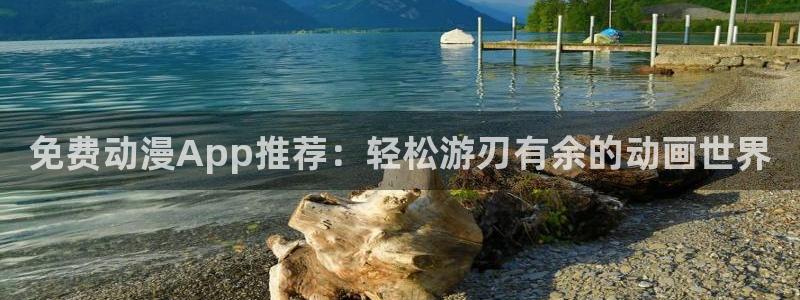 里番动漫介绍