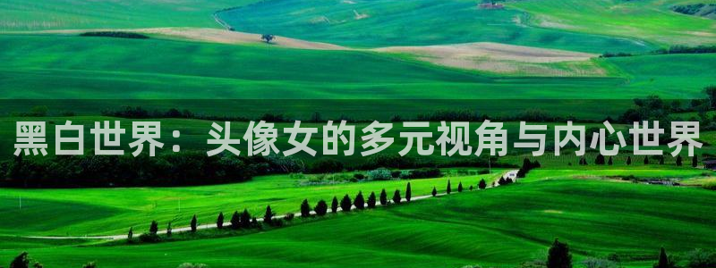 看里番