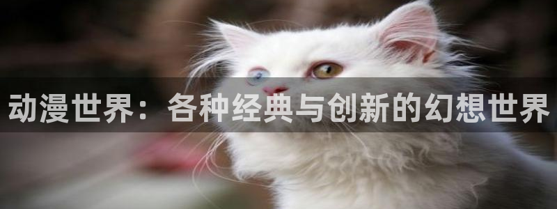 有里番的动漫：动漫世界：各种经典与创新的幻想世界