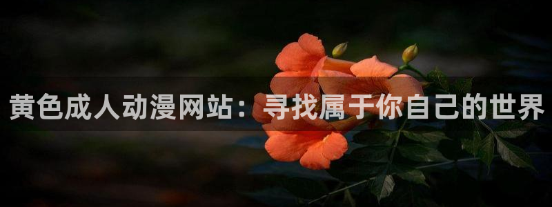 旧里番动漫3d：黄色成人动漫网站：寻找属于你自己的世界